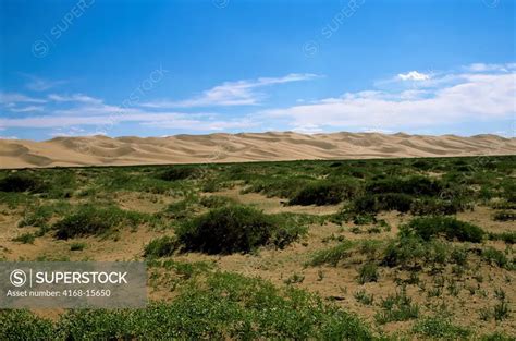 Mongolia Gobi Desert Near Dalanzadgad Khongoryn Els Sand Dunes