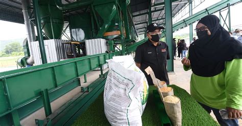 Mafi Jamin Bekalan Makanan Negara Mencukupi Berita Harian