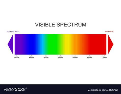 Spectrum visible light diagram portion Royalty Free Vector