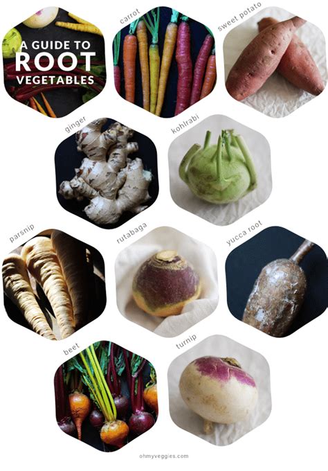 A Guide To Root Vegetables Cook Them All Oh My Veggies