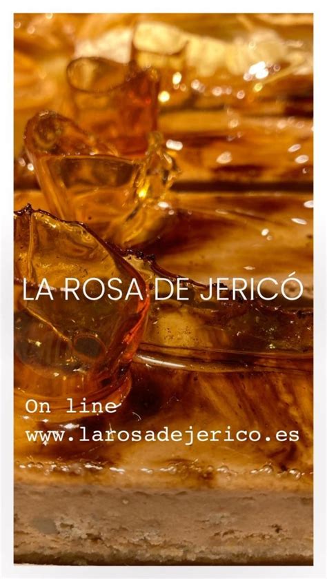 Details Imagen Rosa De Jeric En Agua Abzlocal Mx