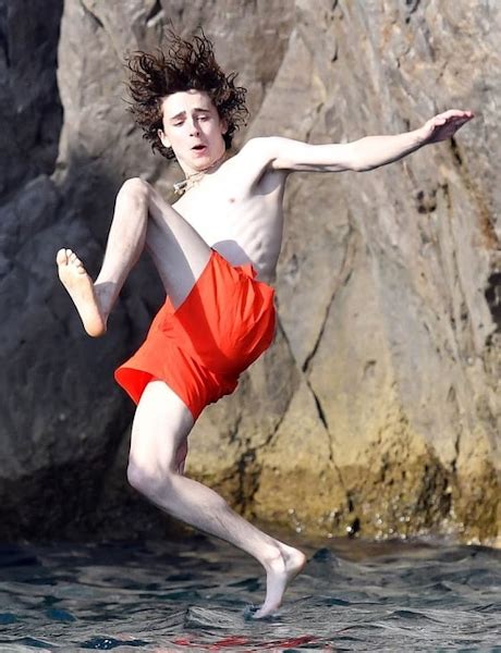 The Men Of Hollywood Timothée Chalamet Shirtless and Hot