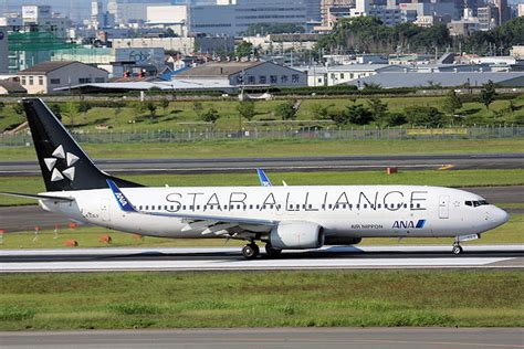 スターアライアンス Ana（全日空）b737 800 Ja51an