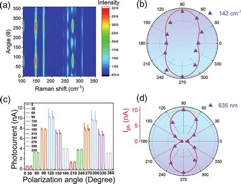 Polarization Sensitive Photodetection Of GeAs InSe Heterojunction A