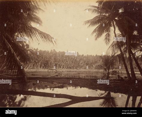 Pleasant Island From The Album Views In The Pacific Islands 1886