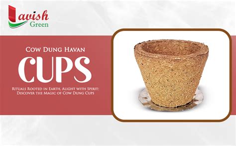 Lavish Empty Organic Havan Sambrani Dhoop Cow Panchgavya Dhuni Cups