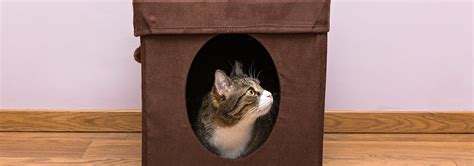 5 Best Cat Houses - Nov. 2018 - BestReviews