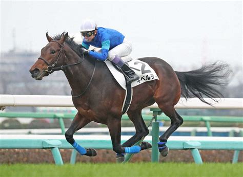 中山5r新馬戦を制した武豊騎乗のギベルティ（撮影・西川祐介） ― スポニチ Sponichi Annex ギャンブル