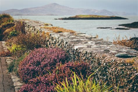 Hiking and Travel in West Cork – Steven Sheehy