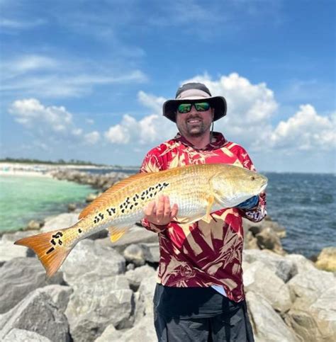 Pcb Drum Coastal Angler The Angler Magazine