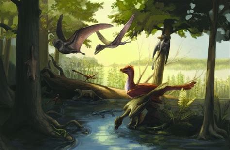 Chinese Jurassic Park Yields Incredible Feathered Dino Find Fox News