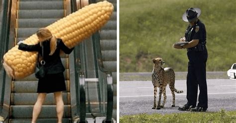 40 Deceptive Photos That Will Make You Doubt Your Eyesight