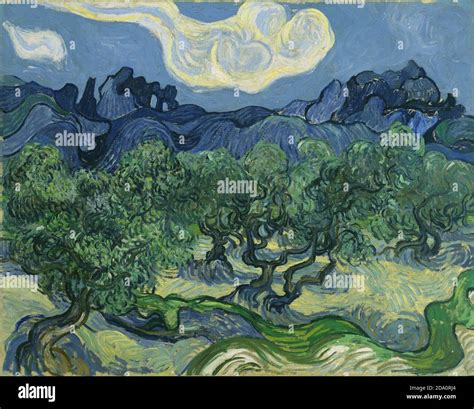 The Olive Trees Art By Vincent Willem Van Gogh Stock Photo Alamy