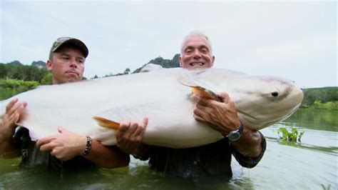 Mekong Giant Catfish | River Monsters | Animal Planet