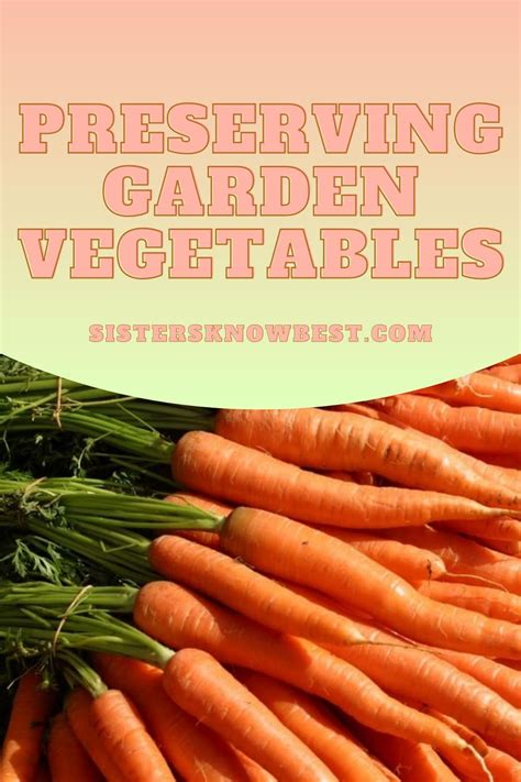 Food Hacks How To Preserve Garden Vegetables In 2023 Vegetables