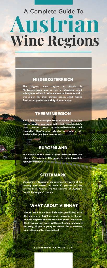 A Complete Guide To Austrian Wine Regions - From The Vine