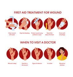 First Aid For Wound On Skin Royalty Free Vector Image