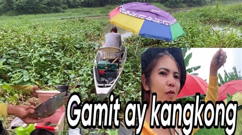 Buhay Bukid May Natagpuan Po Tayo Mga Dayo Gamit Ay Kangkong Sa