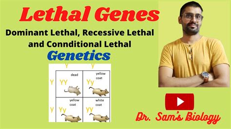 Lethal Genes Lethal Alleles Youtube