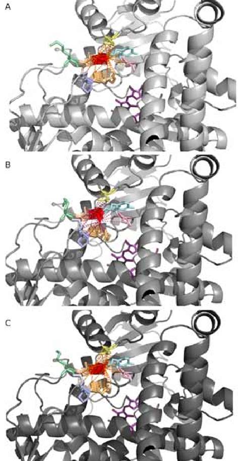 A Wild Type Crystal Structure Of Cyp B B Wild Type Homology Model