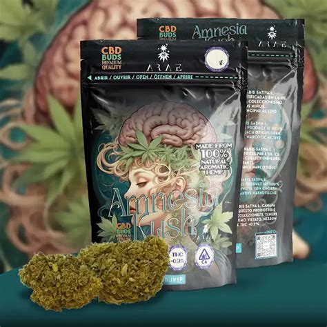 Ach Te Des Fleurs De Cannabidiol Amnesia Kush Cbd Chez Pevgrow