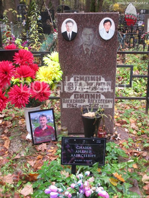 Актёр Силин Александр Алексеевич 1962-2012 гг
