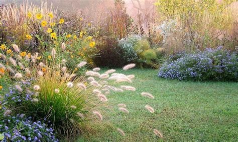 Así puedes utilizar las gramíneas ornamentales en tu jardín Foto 1