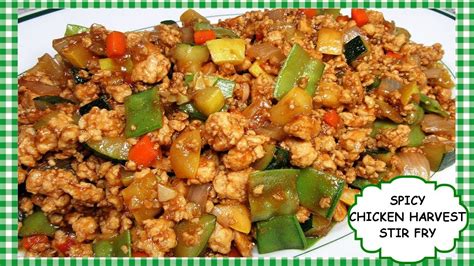 Spicy Chinese Ground Chicken Harvest Stir Fry Recipe Youtube