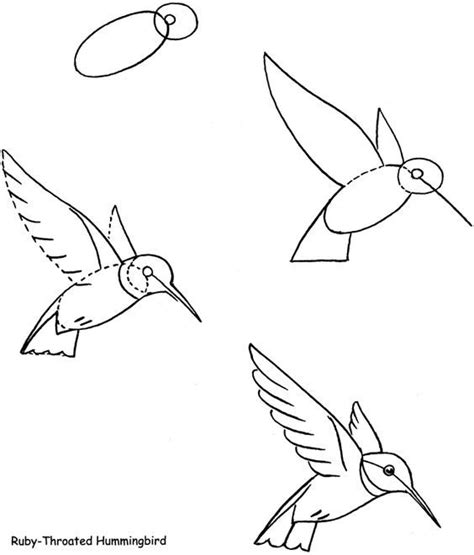 29 tutos dessins d oiseaux étape par étape pour apprendre à dessiner