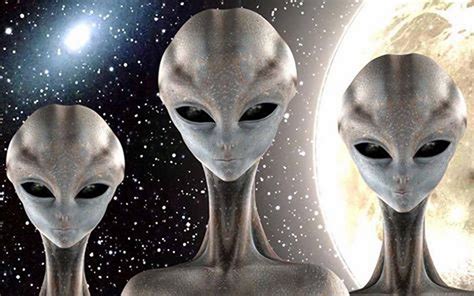 Partage Of Tre Celeste On Facebook Grey Alien Alien