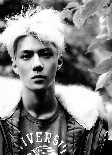 Sehun Love Cre The Owner As Logo Sehun Exo Madly In Love Jon Snow