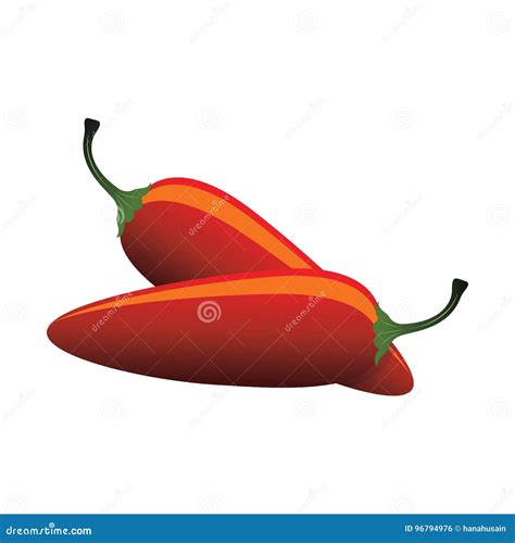 Raw Jalapeno Hot Chilies Vector Illustration Stock Vector Illustration Of Color Paprika