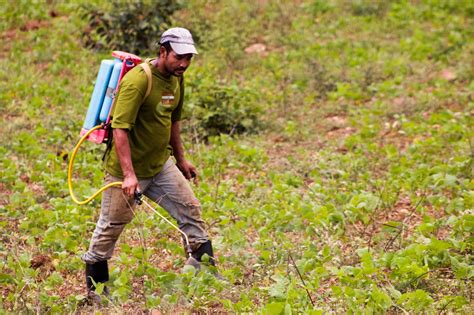 Avanzar Hacia Una Agricultura Sostenible E Invertir En Infraestructura