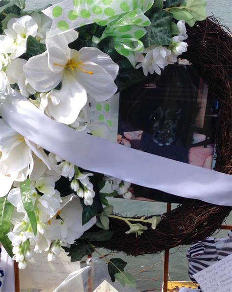 Big Timber Community | Facebook