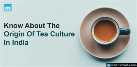 Know About The Origin Of Tea Culture In India - Asia