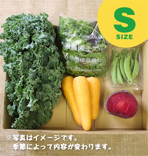 オーガニックサラダセット 有機 S 無農薬・有機野菜の宅配通販モアーク