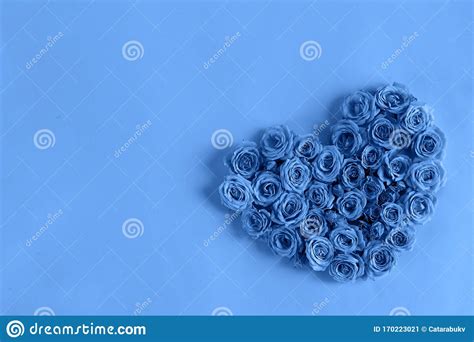 Beautiful Heart Made Roses In A Classic Blue Color On A Blue Background