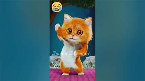 🐱 Funny Cat Videos Cute Cats Try Not To Laugh Cat Videos