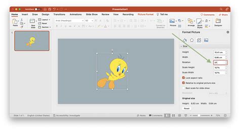 Cómo voltear y reflejar imágenes en PowerPoint en 4 pasos rápidos