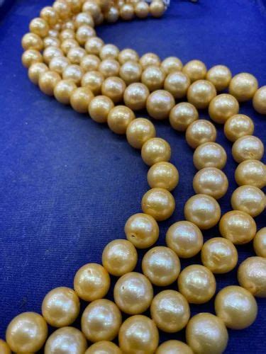 Round Yellow Coloured Freshwater Edison Pearl Size Mm At Rs