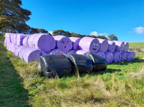 Straw Bales With Faces At Broad Ecton Ian Calderwood Geograph