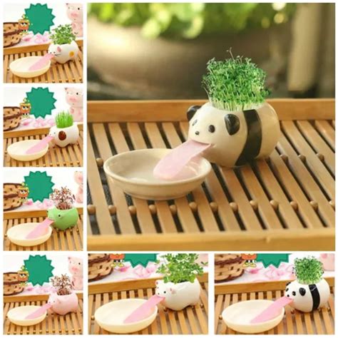 Pig Frog Cat Bear Panda Cartoon Succulent Flowerpot Plant Planter