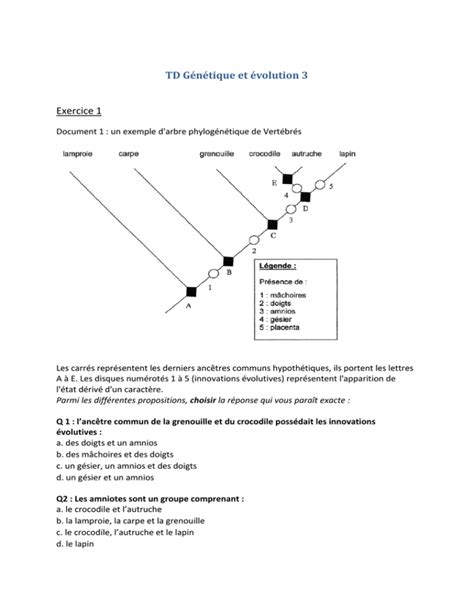 TD Génétique et évolution 3 Exercice 1