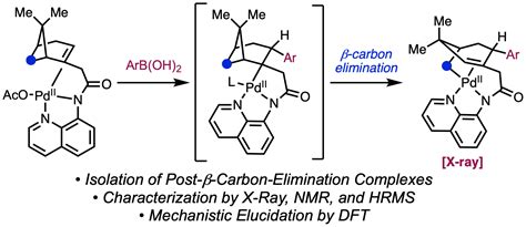 Beta-Carbon Elimination Paper – Now In Press – Molecular Complexity ...