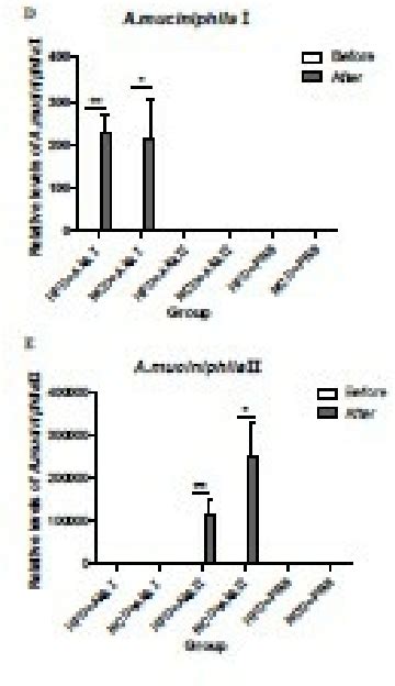 PDF Diverse Effects Of Different Akkermansia Muciniphila Genotypes On