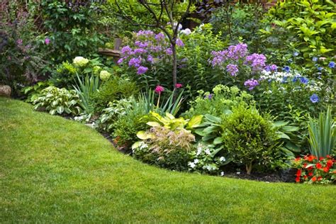 Comment Faire Un Parterre De Fleurs Sans Entretien Les Meilleurs