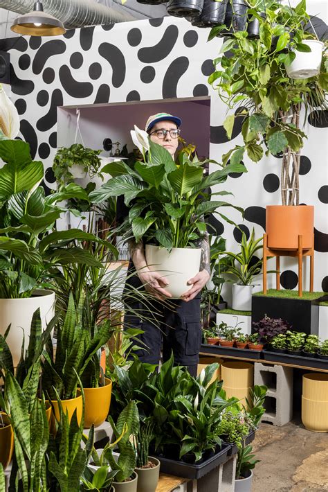 Calgary Experts On Bringing Plants Into Indoor Living Spaces Avenue