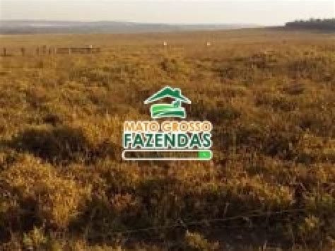 Mato Grosso Fazendas 1 480 Hectares Em Canarana MT