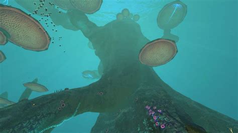 Mushroom Forest Wiki Subnautica Amino