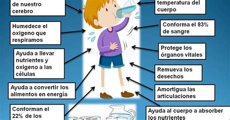 Cuidados Sobre El Cuerpo La Importancia De Beber Agua